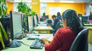 rse consultant